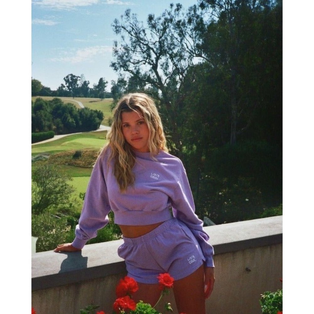 LIVIN COOL EMBROIDERED WAVY CROP LILAC SWEATER S SMALL